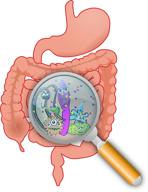 gut health