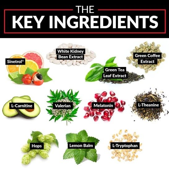 leanfire pm key ingredients