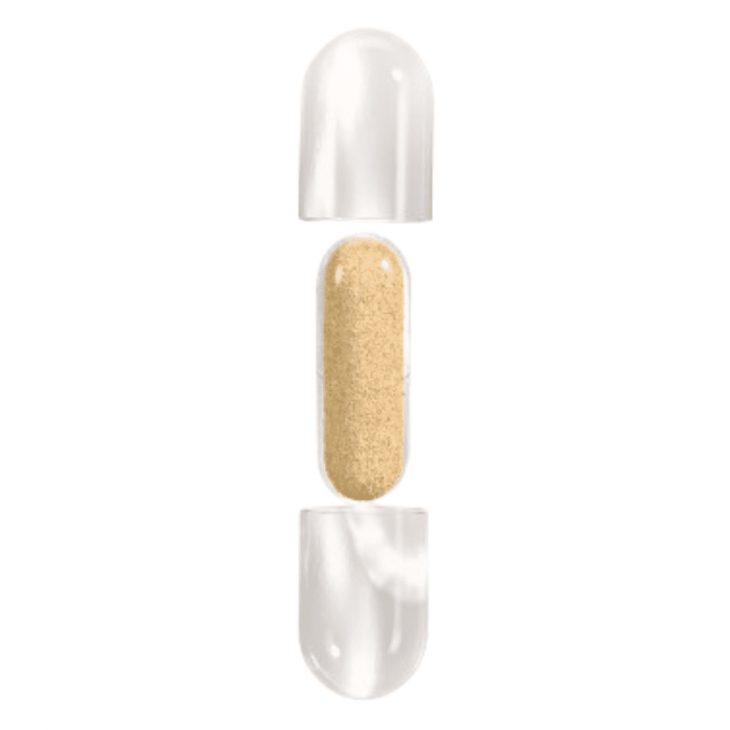 ritual synbiotic capsule
