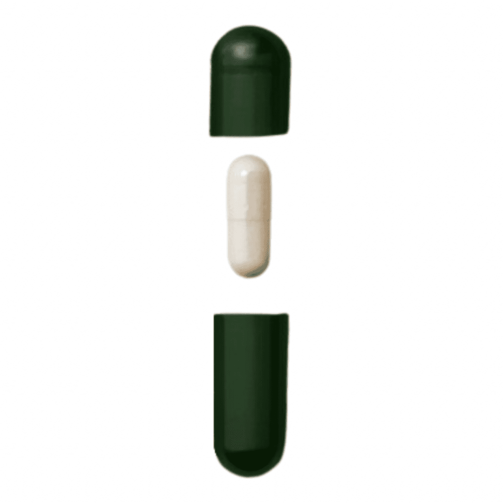 seed capsule