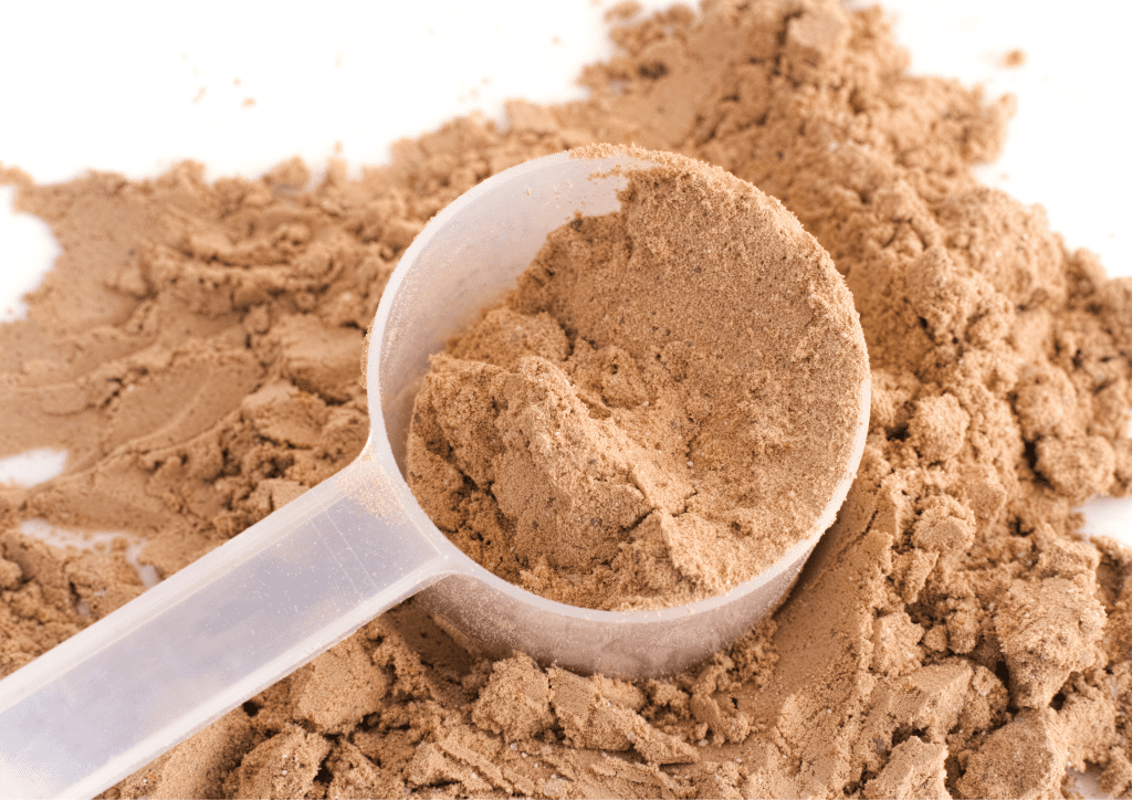 soy free protein powder