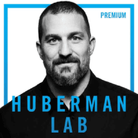 huberman lab subscription huberman lab subscription