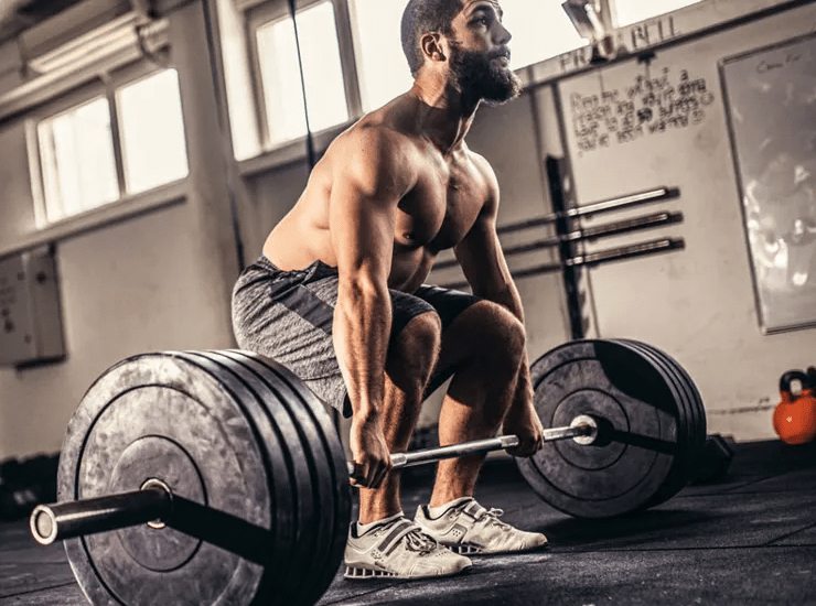 muscletech 100% mass gainer benefit