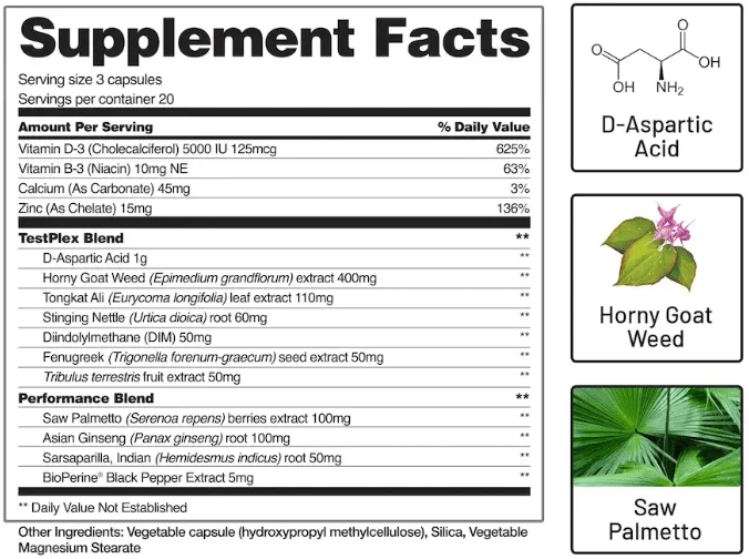 snap testo booster ingredients