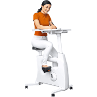 bike desk bike desk