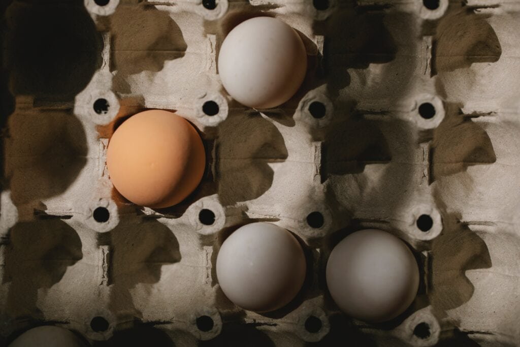 Food Desert Eggs