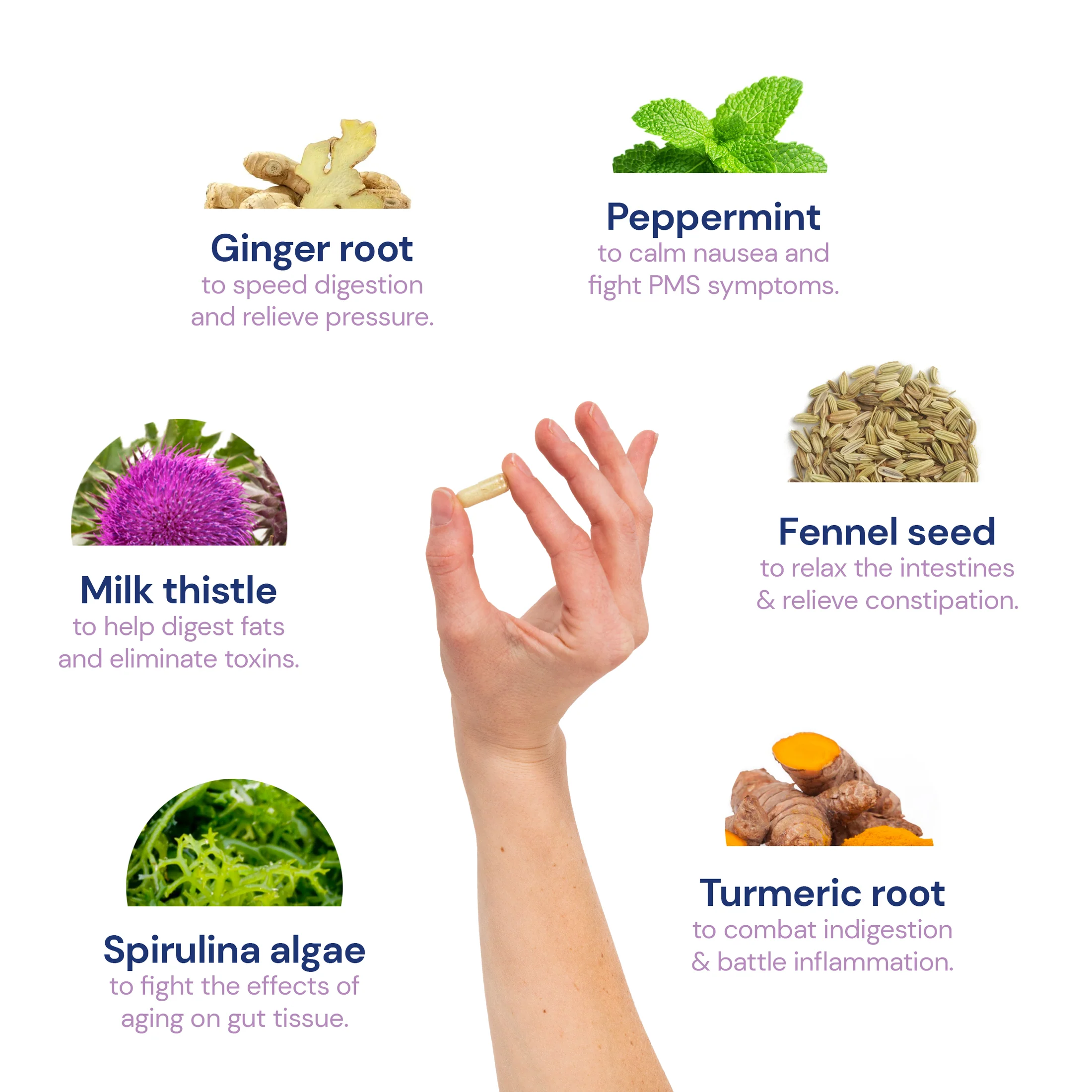 unbloat ingredients